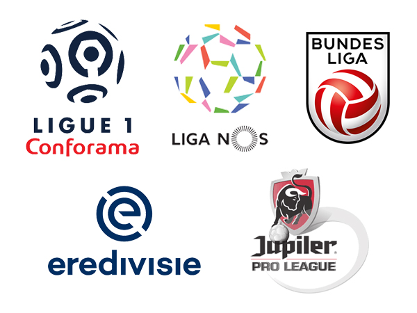 その他の国内リーグ・大会